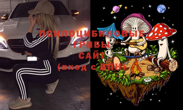 метадон Алексин