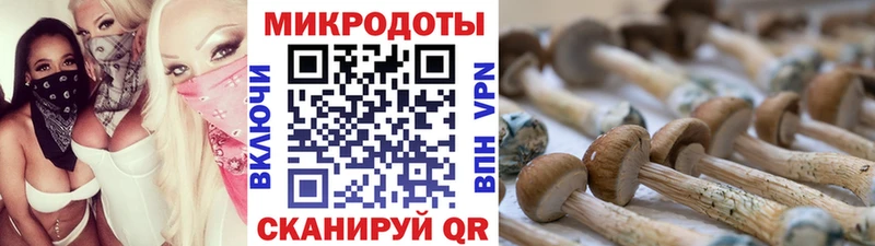Галлюциногенные грибы мицелий  Углич 